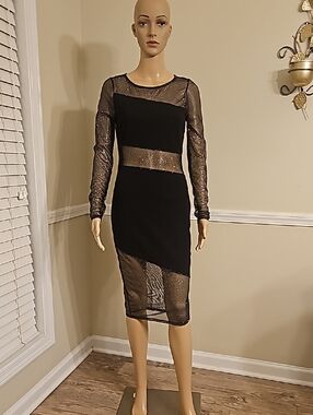 The NEW Boutique Black Sheer Panel Long Sleeve Bodycon Dress
